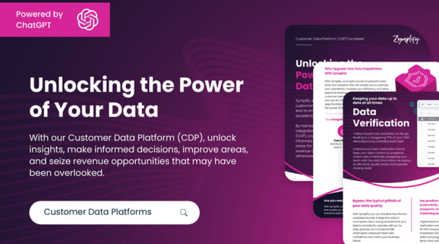 Customer Data Platform (1)
